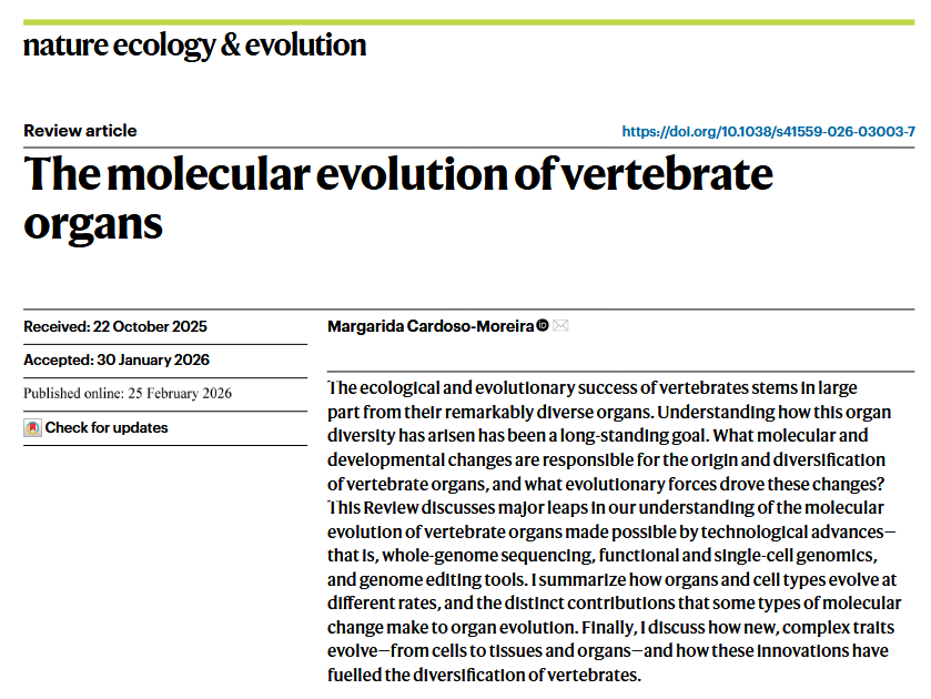 Cardoso-Moreira 2026